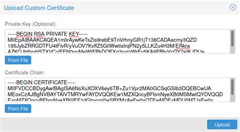 example, etcsysctl. . Proxmox upload custom certificate